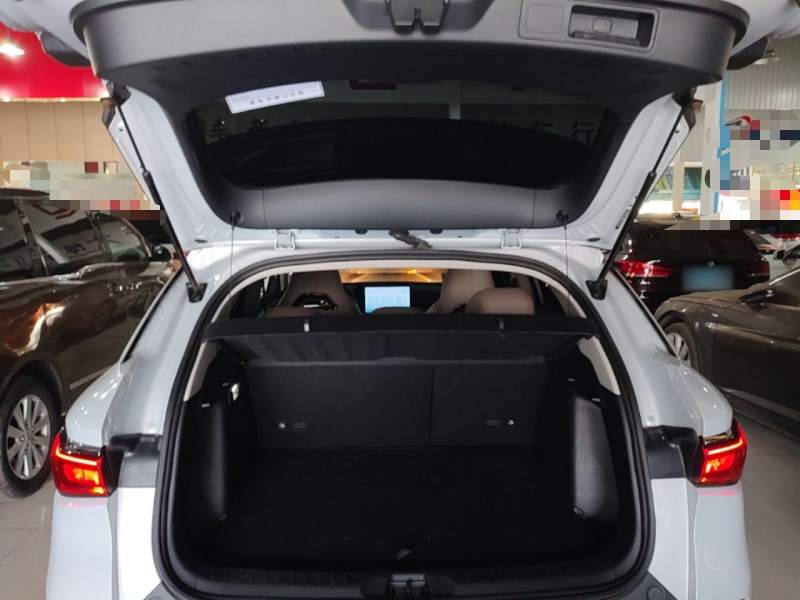 Used BYD Yuan PLUS 2023 Champion Edition 430KM Superior Model — 18