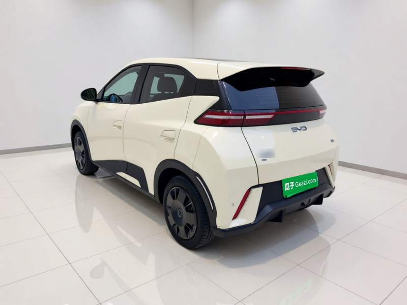 Used BYD Seagull 2024 Honor Edition 305km Dynamic Version — 4