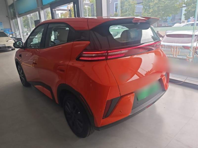 Used BYD Seagull 2026 Model, 305 km Freedom Edition — 4