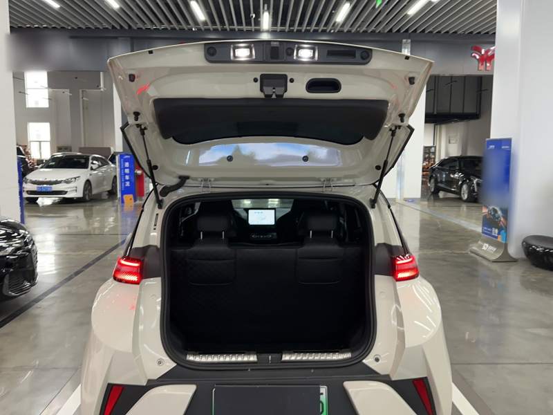 Used BYD Seagull 2025 Intelligent Driving Version 305 km Dynamic Edition — 18