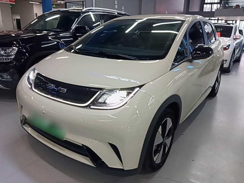 Used BYD Dolphin 2023 420 km Free Version — 1
