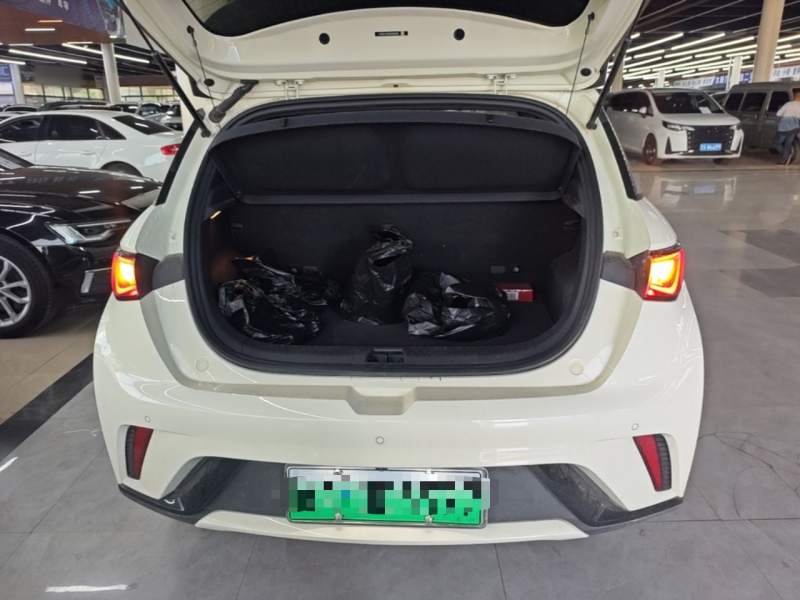 Used BYD Dolphin 2025 420km Active Version — 18