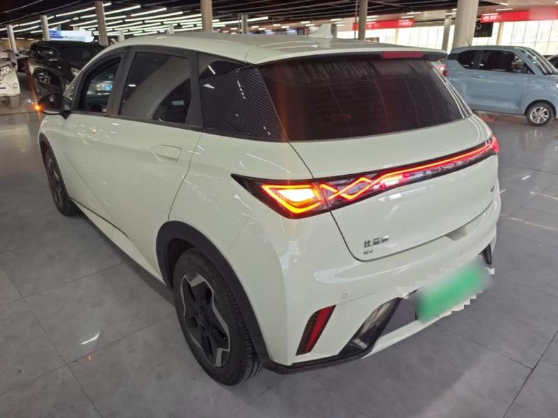 Used BYD Dolphin 2025 420km Active Version — 4