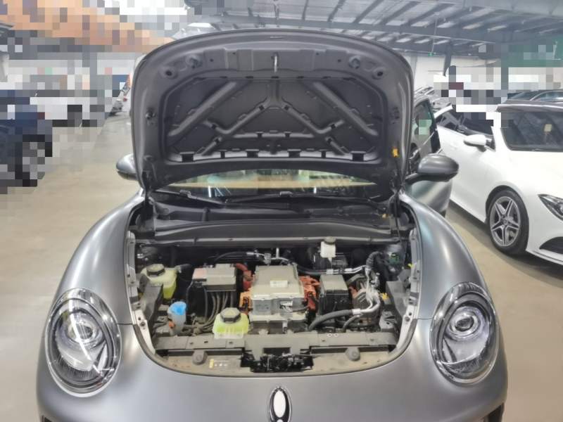 Used ORA Good Cat 2025 Model, 430 km Prestige Version — 20