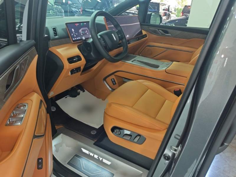 Used Wey Gaoshan 2025 Four-Wheel Drive Alpine 8 — 15
