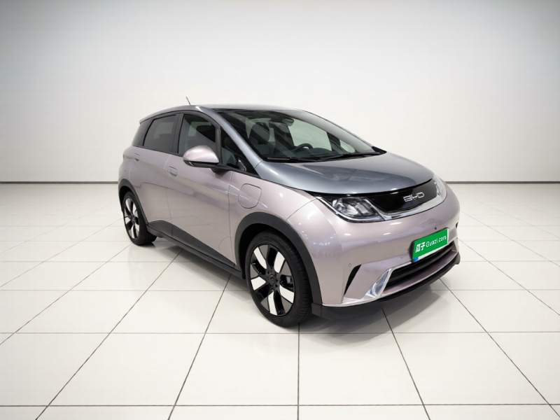 Used BYD Dolphin 2023 401km Knight Edition — 3