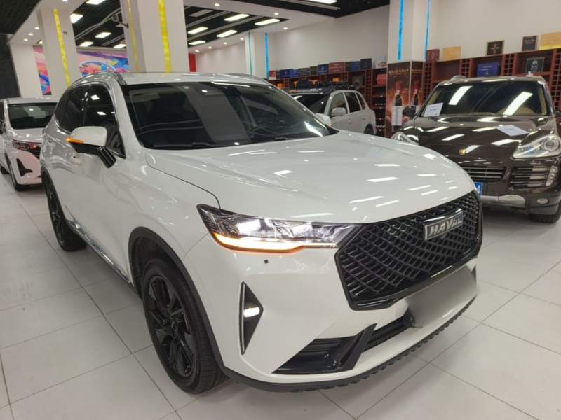 Used Haval H6 2021 3rd Generation 2.0T Automatic Two-Wheel Drive Max — 3