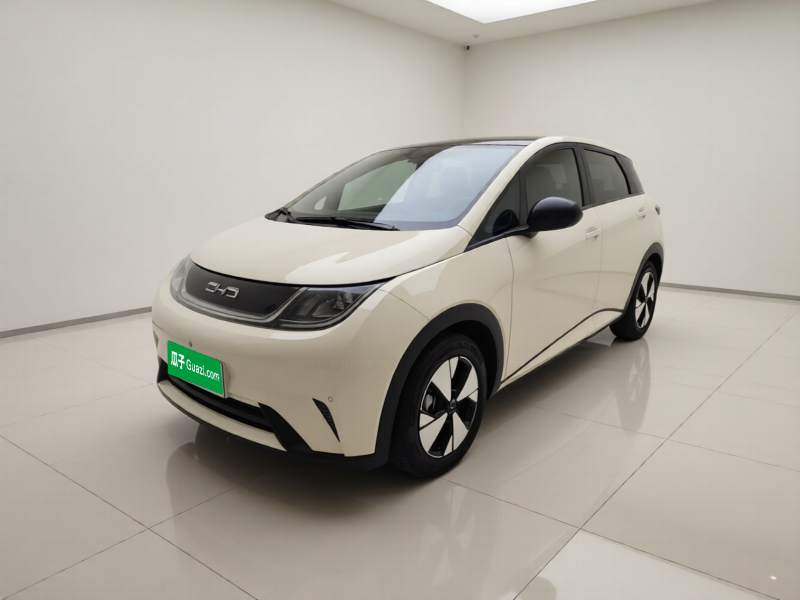 Used BYD Dolphin 2023 420 km Fashion Edition