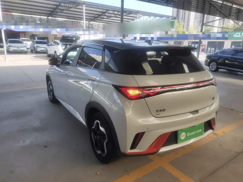 Used BYD Dolphin 2021 405 km Free Version — 4