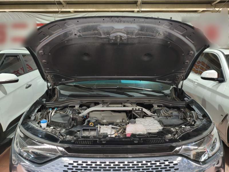 Used Leapmotor C11 2023 Extended-Range 285 Comfort Edition — 19