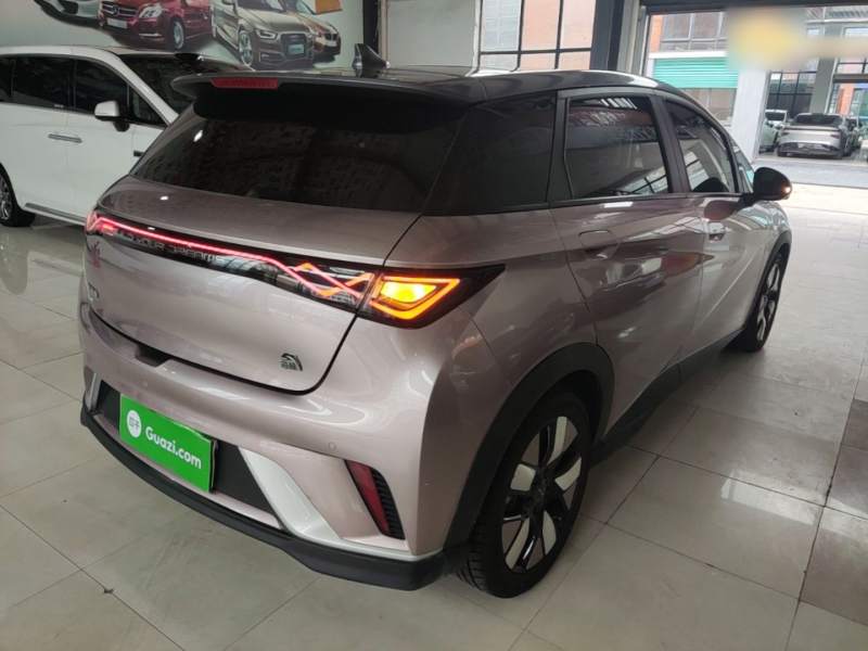 Used BYD Dolphin 2021 401km Knight Edition — 6