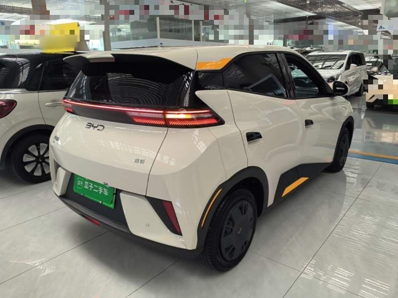 Used BYD Seagull 2025 Intelligent Driving Version 305 km Dynamic Edition — 6
