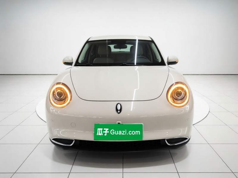 Used ORA Good Cat 2023 401 km Standard Range Luxury Version Lithium Iron Phosphate — 2