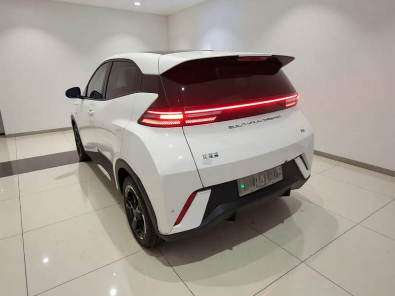 Used BYD Seagull 2023 Free Edition — 4