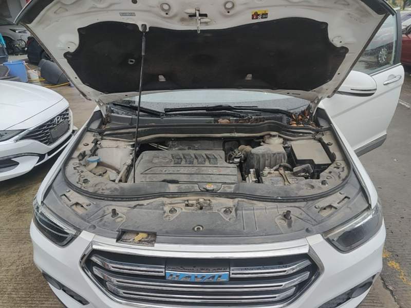 Used Haval H6 2017 Blue Label Sport Edition 1.5T Automatic Two-Wheel Drive Luxury Model – Luxury — 19