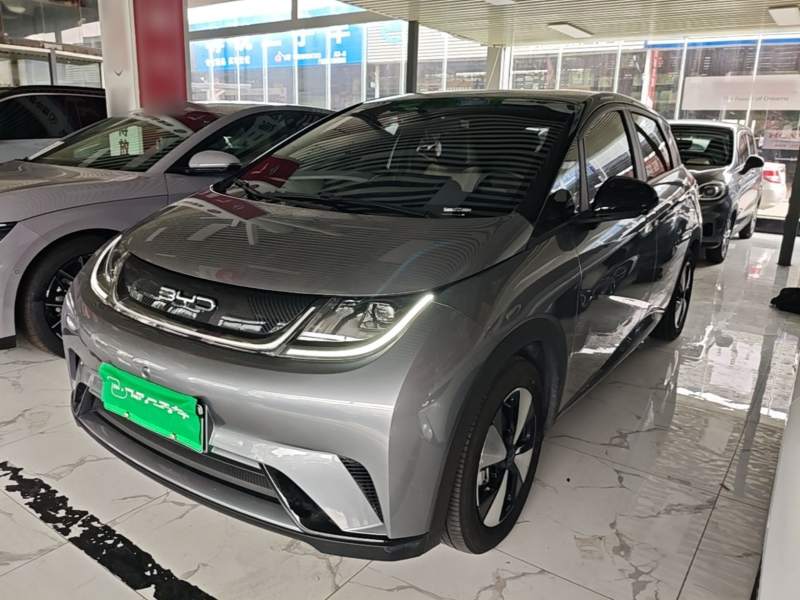 Used BYD Dolphin 2023 420 km Free Version