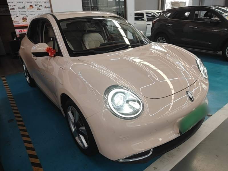 Used ORA Good Cat 2021 400km Standard Range Athena Edition Lithium Iron Phosphate — 3