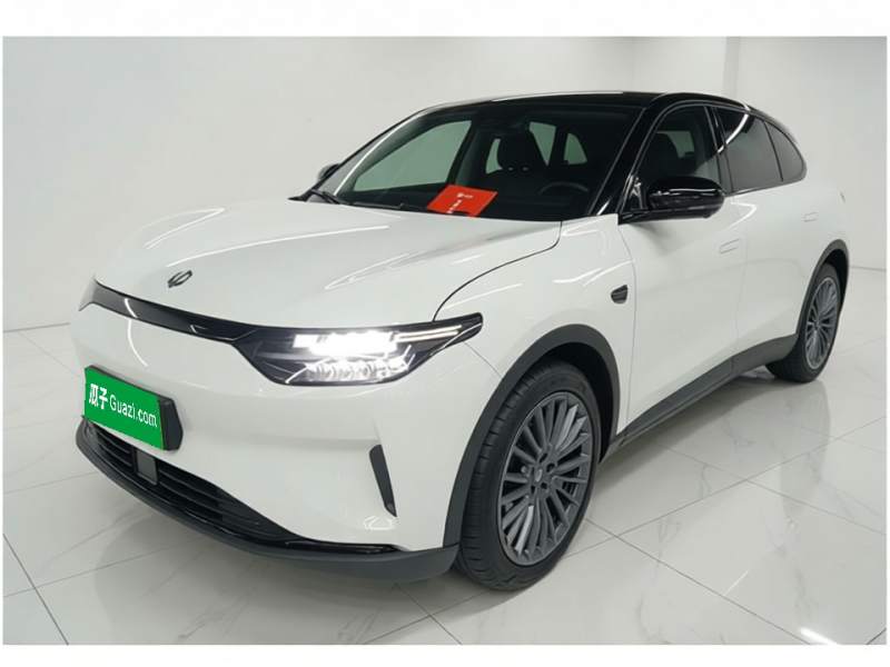 Used Leapmotor C11 2023 Pure Electric 500 Comfort Edition