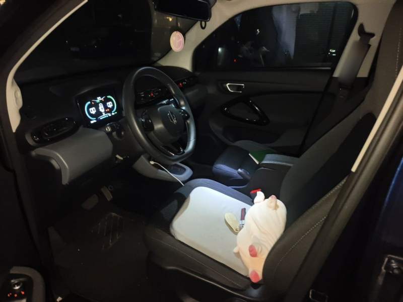 Used Leapmotor T03 2020 400 Lite Edition — 11