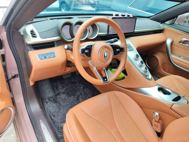 Used ORA Lightning Cat 2022 555 km Luxury Edition – Premium — 9