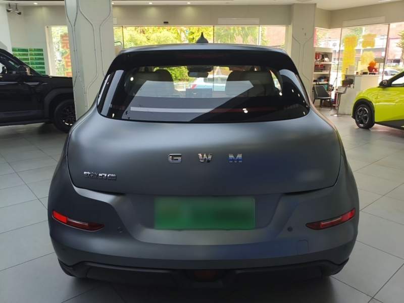 Used ORA Good Cat 2025 Model, 430 km Prestige Version — 5