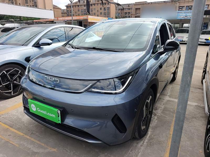 Used BYD Dolphin 2025 Smart Drive Version 420 km Freedom Edition — 1