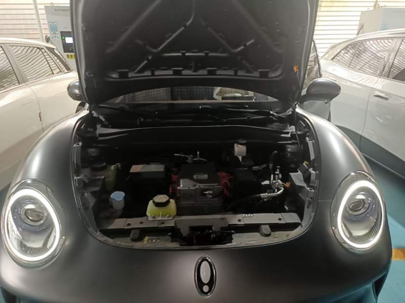 Used ORA Good Cat 2025 Model, 430 km Prestige Version — 20