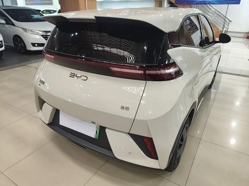Used BYD Seagull 2025 Intelligent Driving Version 305 km Dynamic Edition — 6