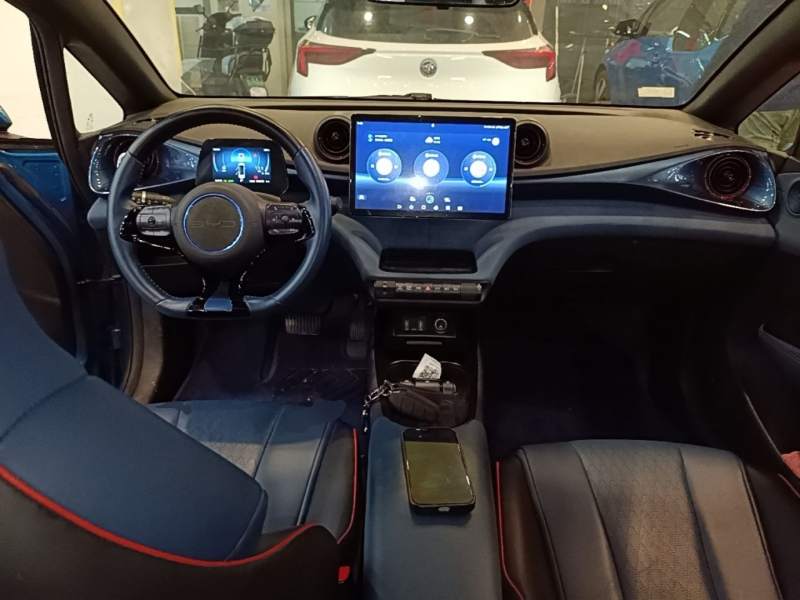 Used BYD Dolphin 2021 401km Knight Edition — 9