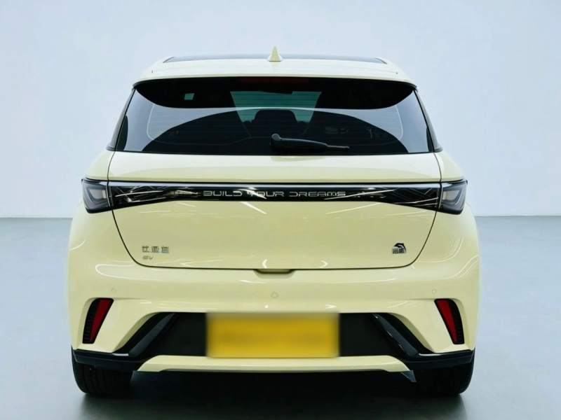 Used BYD Dolphin 2023 420 km Fashion Edition — 32