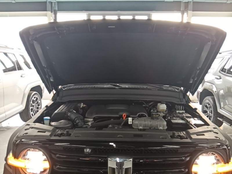 Used Tank 300 2024 2.0T Challenger — 19