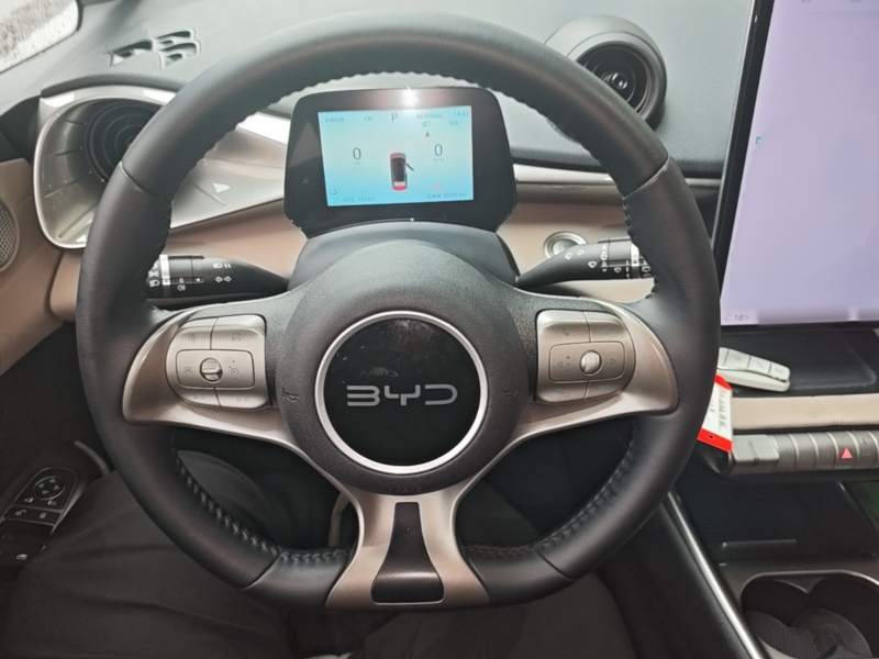 Used BYD Dolphin 2025 420km Free Edition — 10