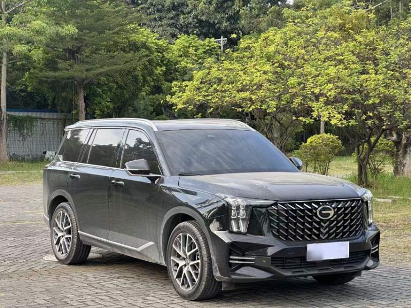 Used GAC Trumpchi GS8 2025 Linghang Series 2.0 TGDI Two-Wheel-Drive Luxury Edition 5 Seats — 32