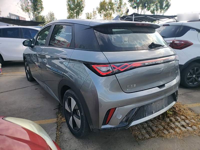 Used BYD Dolphin 2023 420 km Fashion Edition — 4