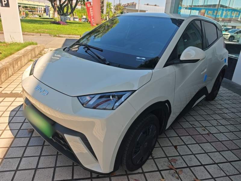 Used BYD Seagull 2024 Honor Edition 305km Dynamic Version