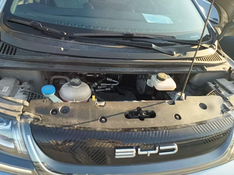 Used BYD Dolphin 2021 405 km Fashion Edition — 19