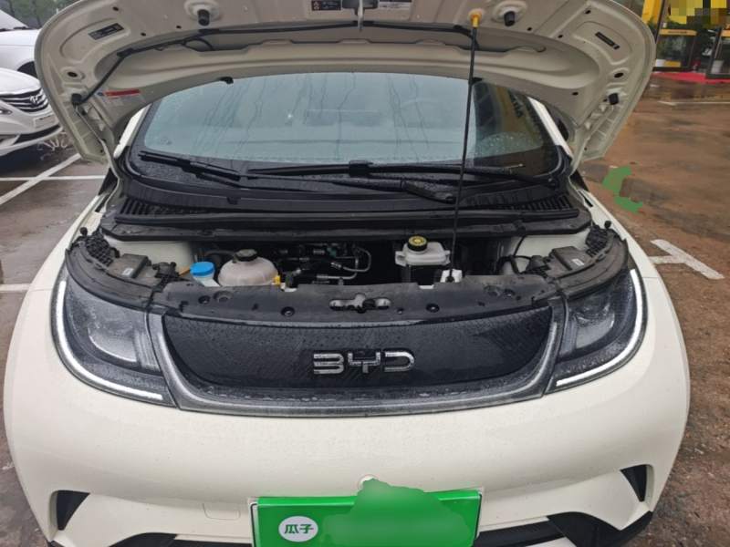 Used BYD Dolphin 2025 420km Free Edition — 19