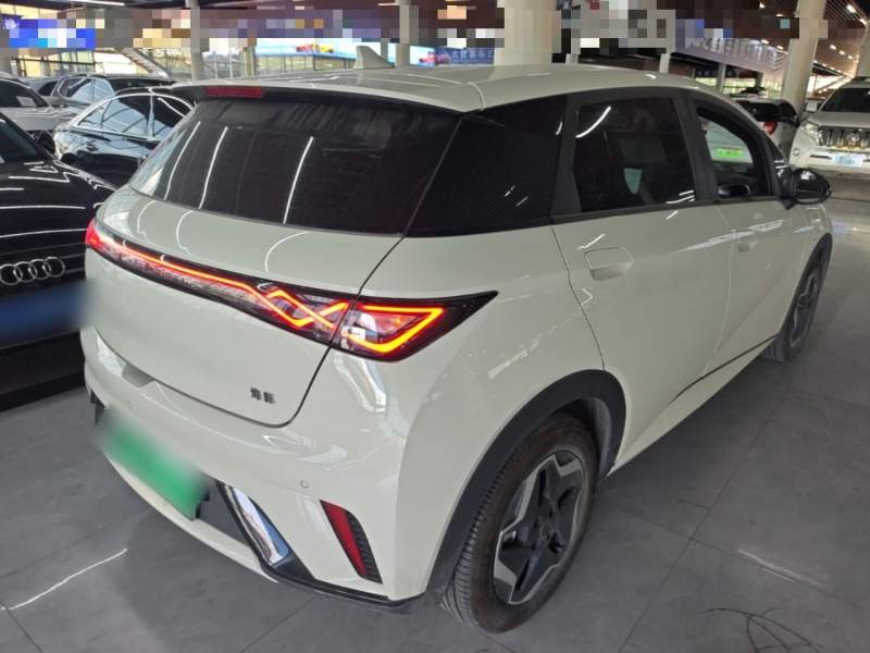 Used BYD Dolphin 2025 420km Active Version — 6