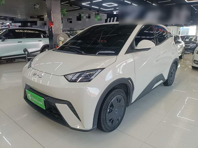 Used BYD Seagull 2025 305km Active Version