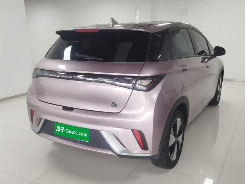 Used BYD Dolphin 2023 420 km Free Version — 6