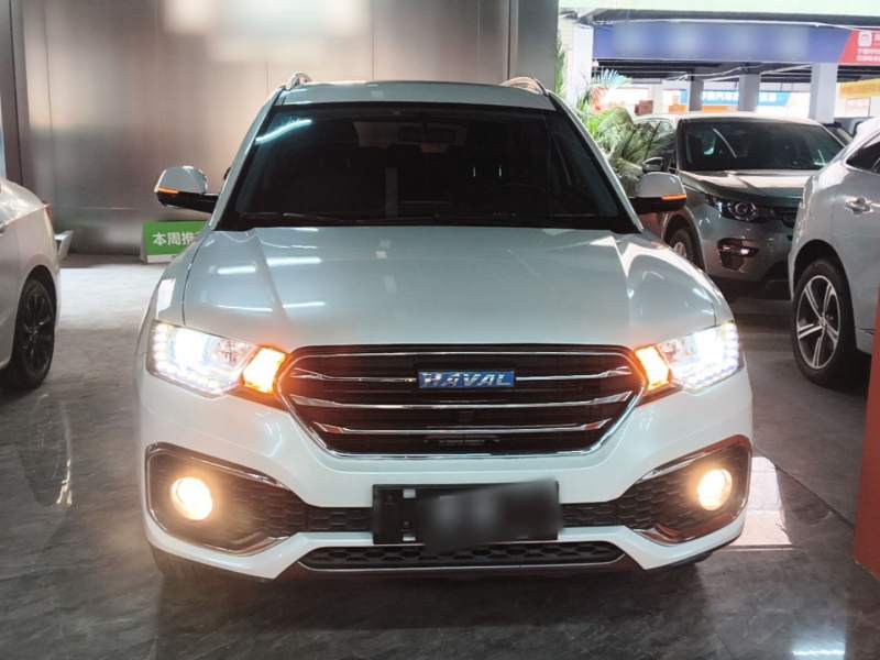 Used Haval H6 Coupe 2018 Blue Label 1.5T Automatic Two-Wheel Drive Luxury Model — 2