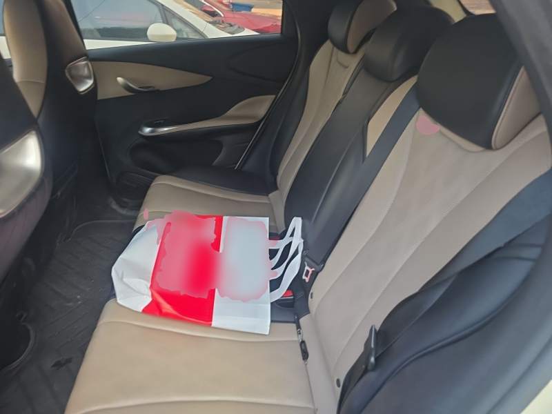 Used BYD Dolphin 2025 420km Free Edition — 13