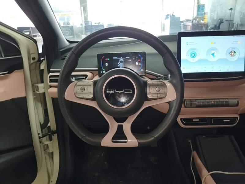 Used BYD Seagull 2023 Active Version — 10
