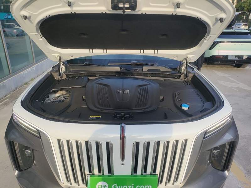 Used Hongqi E-HS9 2021 510 km Flagship Edition Four Seats — 19