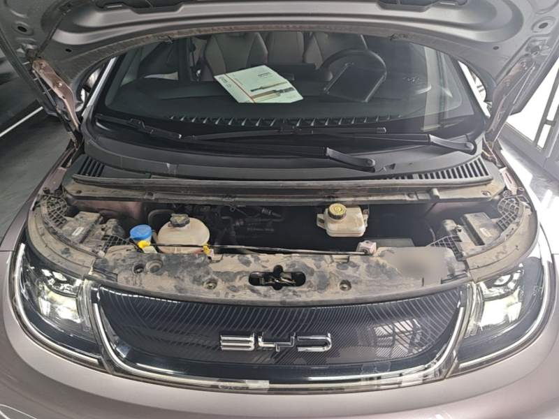 Used BYD Dolphin 2021 401km Knight Edition — 19