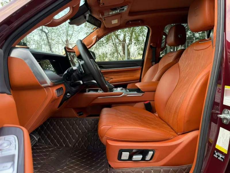 Used Tank 500 2022 3.0T High-End Custom Edition 5 Seats — 20