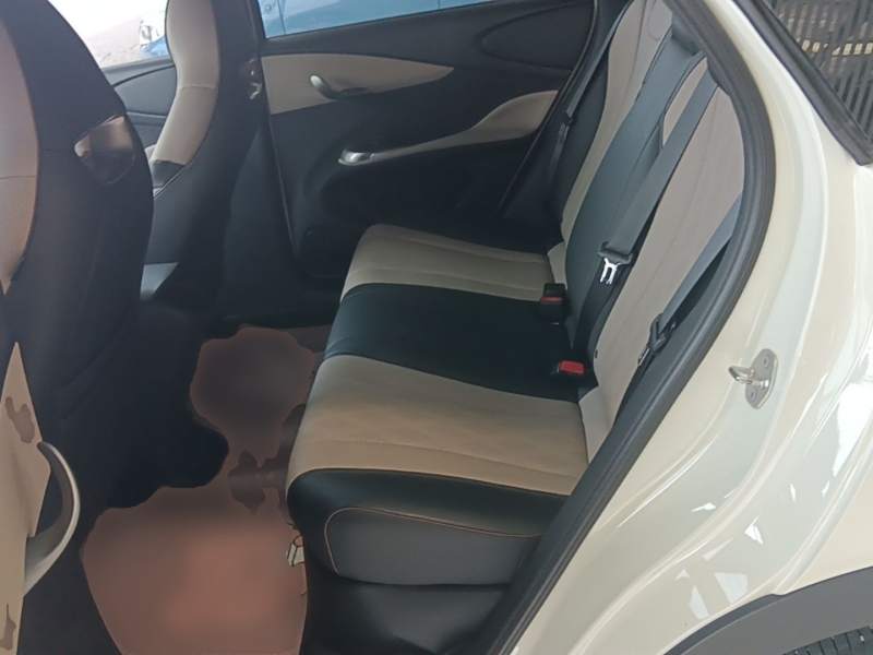 Used BYD Dolphin 2023 420 km Free Version — 16