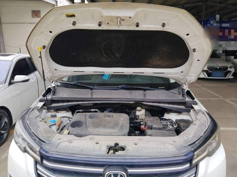 Used CHANGAN CS55PLUS 2020 1.5T Automatic Colorful Model — 19