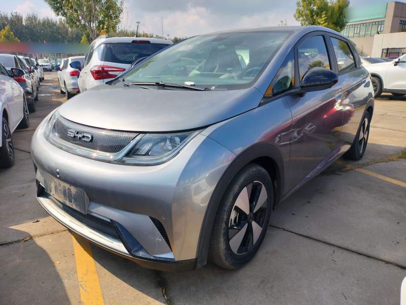Used BYD Dolphin 2023 420 km Fashion Edition — 1