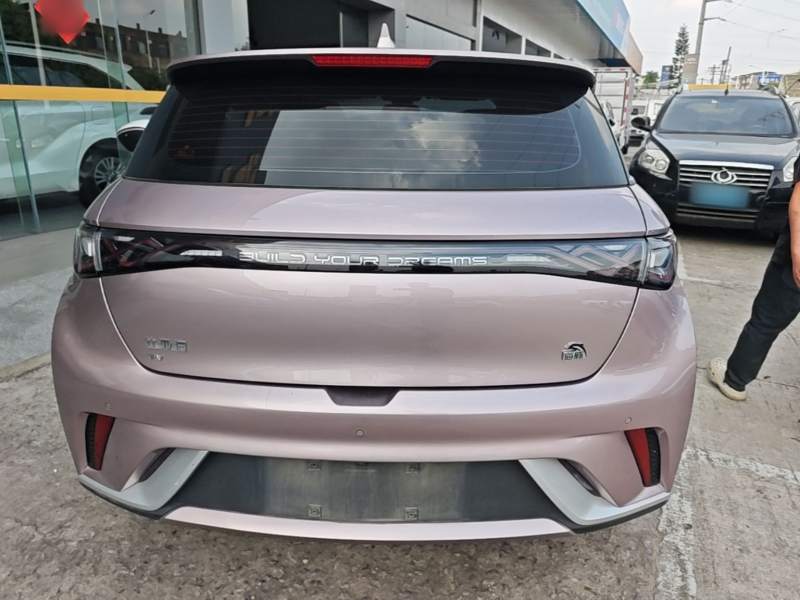 Used BYD Dolphin 2021 405 km Fashion Edition — 5